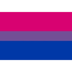 PRIDE - BANDERA 90 X 150 BIXESUAL